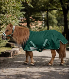 Waldhausen Shetty Regendecke für Ponys in Grün aus Polyester – Bild 1 von 2