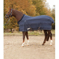 Produktbild von Waldhausen Stalldecke Comfort 135 cm Blau - 300 g