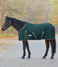 Produktbild von Waldhausen Stalldecke Economic aus Polyester in Grün - 300 g