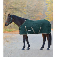 Produktbild von Waldhausen Stalldecke Economic aus Polyester in Grün - 300 g