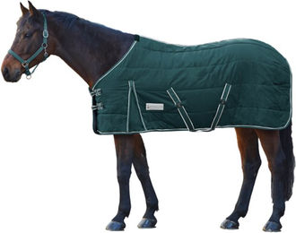 Waldhausen Stalldecke Economic aus Polyester in Tannengrün 125 cm – Bild 1 von 1