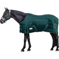 Produktbild von Waldhausen Stalldecke Economic aus Polyester in Tannengrün 155 cm - 100 g