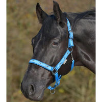 Produktbild von Waldhausen Stallhalfter für Ponys in Blau aus Nylon