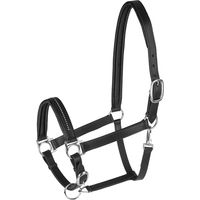 Produktbild von Waldhausen Star Diamond Lederhalfter für Shetty in Braun oder Schwarz