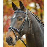 Produktbild von Waldhausen Star Diamond Trensenzaum für Ponys aus Leder in Blau