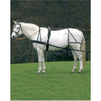 Produktbild von Waldhausen Star Einspänner-Brustblattgeschirr aus Leder für Warmblut in Schwarz