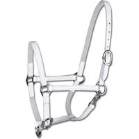 Produktbild von Waldhausen Star Fohlenvorführhalfter aus Leder für Mini-Shetlandponys in Weiß