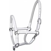 Produktbild von Waldhausen Star Fohlenvorführhalfter aus Leder für Ponys in Weiß oder Schwarz