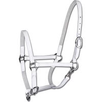 Produktbild von Waldhausen Star Fohlenvorführhalfter aus Leder für Shetty in Weiß