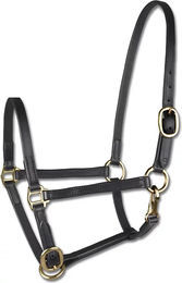 Waldhausen Star Fohlenvorführhalfter aus Leder in Schwarz für Warmblut – Bild 1 von 3