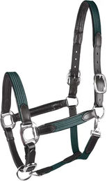 Waldhausen Star Halfter Mix für Warmblut in Grün – Bild 1 von 2