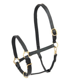 Waldhausen Star Lederhalfter Robust für Warmblut in Schwarz - 1 Stk. – Bild 1 von 3