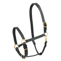 Produktbild von Waldhausen Star Lederhalfter Robust für Warmblut in Schwarz - 1 Stk.