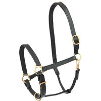 Produktbild von Waldhausen Star Lederhalfter Robust Schwarz