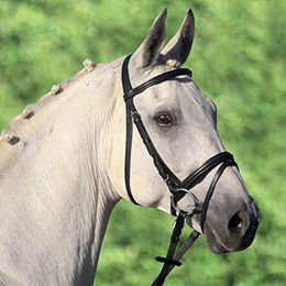 Waldhausen Star Lifestyle Trensenzaum aus Leder für Ponys in Braun oder Schwarz – Bild 1 von 3