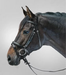 Waldhausen Star Lifestyle Trensenzaum aus Leder für Ponys in Schwarz – Bild 1 von 3