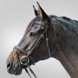 Produktbild von Waldhausen Star Lifestyle Trensenzaum aus Leder für Warmblut in Braun/Braun