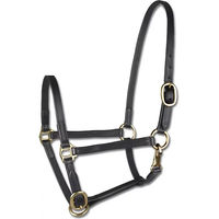 Produktbild von Waldhausen Star Pony Halfter aus Leder