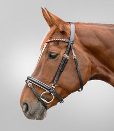Produktbild von Waldhausen Star Trensenzaum aus Leder in Schwarz mit Roségold für Warmblut