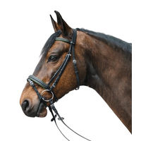 Produktbild von Waldhausen Star Trensenzaum Diamond Englisch Kombi Leder Grün Pony