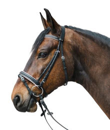 Waldhausen Star Trensenzaum Diamond Englisch Kombi Leder Weiß für Shetty – Bild 1 von 3