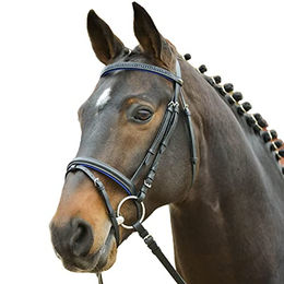 Waldhausen Star Trensenzaum Diamond Englisch Kombi Shetty Blau aus Kunstleder – Bild 1 von 5