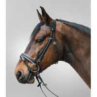 Produktbild von Waldhausen Star Trensenzaum Diamond Leder Weiß Pony
