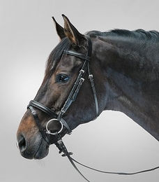 Waldhausen Star Trensenzaum Lifestyle für Vollblut aus Kunstleder in Schwarz – Bild 1 von 4