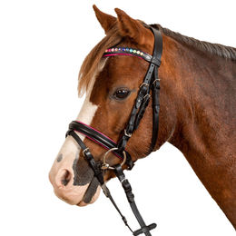 Waldhausen Star Trensenzaum Pinky aus Leder inklusive Zügel für Shettys in Rosa und Schwarz – Bild 1 von 2