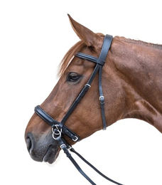 Waldhausen Star Zaum Gebisslos aus Leder für Ponys in Schwarz – Bild 1 von 3