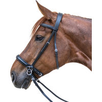 Produktbild von Waldhausen STAR Zaum gebisslos schwarz aus Leder XWB