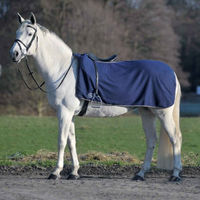 Produktbild von Waldhausen Thermostar Economic Fleece-Ausreitdecke für Ponys in Blau