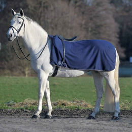 Waldhausen Thermostar Fleece-Ausreitdecke Economic für Warmblut in Blau – Bild 1 von 2