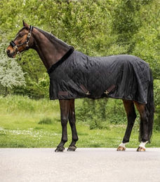 Waldhausen Transportdecke Exclusive für Pferde Schwarz 135 cm – Bild 1 von 8