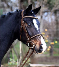 Waldhausen Trense X-Line Santander Leder kombiniert für Warmblut – Bild 1 von 3