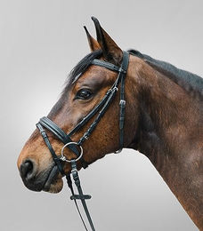Waldhausen Trensenzaum Diamond aus Leder für Warmblut in Schwarz – Bild 1 von 7