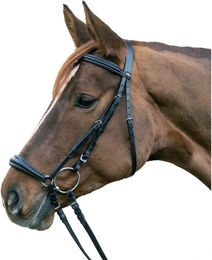 Waldhausen Trensenzaum Hannover Kombinierte Nasenriemenreithalfter aus Leder Schwarz für Warmblut – Bild 1 von 6