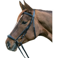 Produktbild von Waldhausen Trensenzaum Hannover Kombinierte Nasenriemenreithalfter aus Leder Schwarz für Warmblut