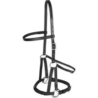 Produktbild von Waldhausen Trensenzaum Lindel LTJ Gebisslos Schwarz für Ponys aus Leder