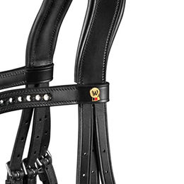 Waldhausen Trensenzaum S-Line Glamour für Vollblut in Schwarz mit Edelstahl – Bild 1 von 10