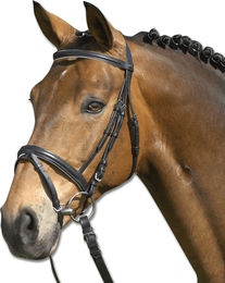 Waldhausen Trensenzaum Star Lifestyle aus Leder in Schwarz/Weiß Größe Cob – Bild 1 von 1