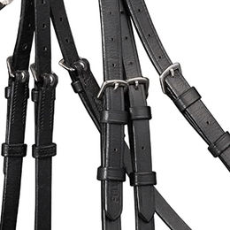 Waldhausen Trensenzaum X-Line Beauty für Pferde in Schwarz, Leder, Vollblut – Bild 1 von 5