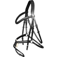 Produktbild von Waldhausen Trensenzaum X-Line Cancún Schwarz für Warmblut mit Edelstahl