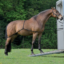 Produktbild von Waldhausen Verladehilfe Schwarz