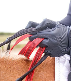 Waldhausen Vorderzeug Secutrust mit Sicherheitszügel für Ponys in Schwarz – Bild 1 von 6