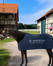 Waldhausen W-Health & Care Ice Layer Kühldecke für Pferde in Blau – Bild 1 von 1