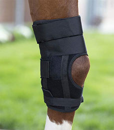 Waldhausen W-Health & Care Sprunggelenks Gamasche für Pferde Schwarz – Bild 1 von 9