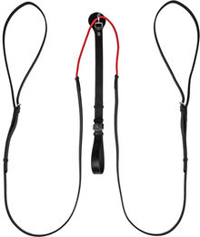 Waldhausen W-trainRein Trainingszügel für Pferde aus Leder in Schwarz – Bild 1 von 9