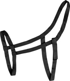 Waldhausen Weidehalfter aus Nylon in Schwarz für Vollblut – Bild 1 von 4
