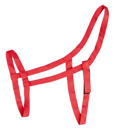 Waldhausen Weidehalfter für Pony mit Neopren in Rot – Bild 1 von 6